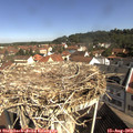 10_15-nest.jpg
