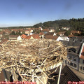 10_30-nest.jpg