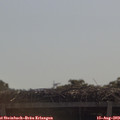 10_45-mast.jpg