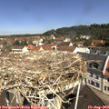 11_05-nest.jpg