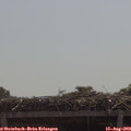 11_20-mast.jpg