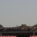 11_55-mast.jpg