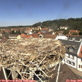12_15-nest.jpg