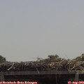 12_25-mast.jpg