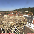 12_35-nest.jpg