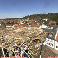 12_40-nest.jpg