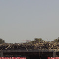 13_05-mast.jpg