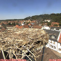 13_05-nest.jpg