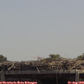 13_10-mast.jpg