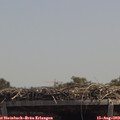 13_15-mast.jpg