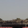 13_20-mast.jpg