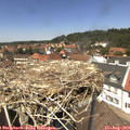 13_20-nest.jpg
