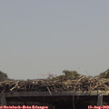13_25-mast.jpg