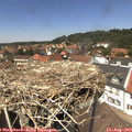 13_25-nest.jpg