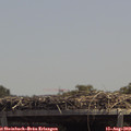 13_30-mast.jpg