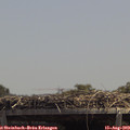 13_35-mast.jpg