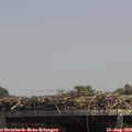 13_40-mast.jpg