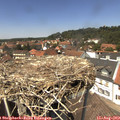 13_40-nest.jpg