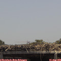 13_45-mast.jpg