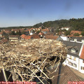 13_45-nest.jpg