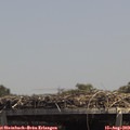 13_50-mast.jpg