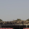 13_55-mast.jpg
