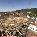 13_55-nest.jpg