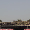 14_15-mast.jpg