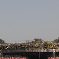 14_20-mast.jpg