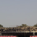 14_25-mast.jpg