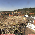 14_25-nest.jpg