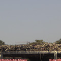 14_35-mast.jpg