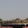 14_45-mast.jpg