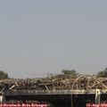 14_55-mast.jpg