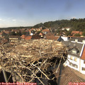 15_10-nest.jpg