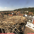 15_15-nest.jpg