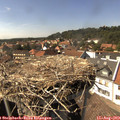 15_25-nest.jpg