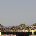 15_45-mast.jpg