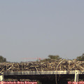 15_55-mast.jpg