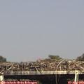 16_10-mast.jpg