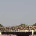 16_30-mast.jpg