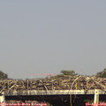 16_50-mast.jpg