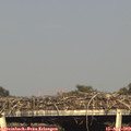 17_55-mast.jpg