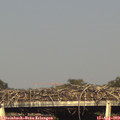 18_05-mast.jpg