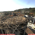 18_05-nest.jpg