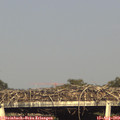18_10-mast.jpg