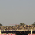 18_20-mast.jpg