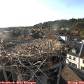 18_20-nest.jpg
