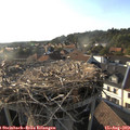 18_25-nest.jpg