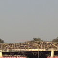 18_30-mast.jpg